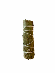 Eucalyptus smudge stick